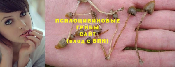 МДПВ Армянск