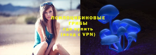 прущий лед Арсеньев