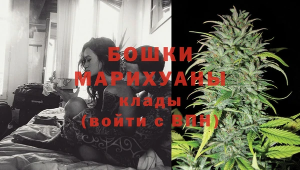 прущий лед Арсеньев