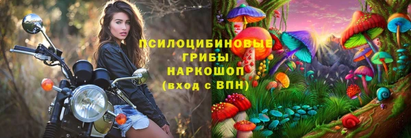 меф Алексин